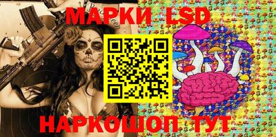 амф Кандалакша