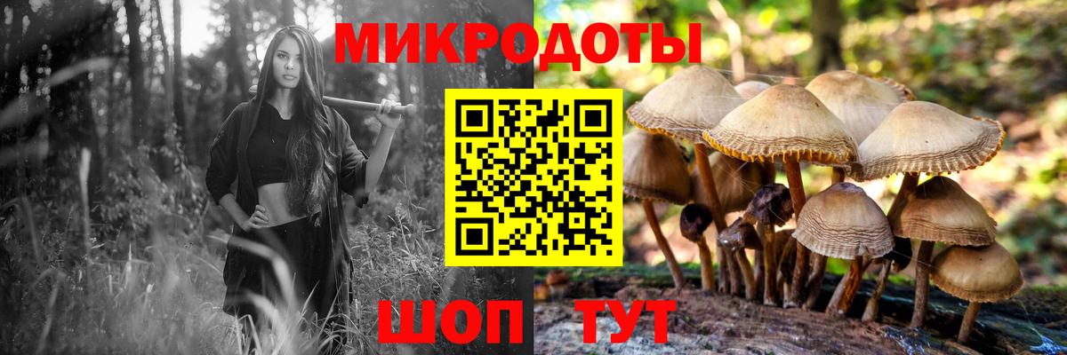 Псилоцибиновые грибы GOLDEN TEACHER Кызыл